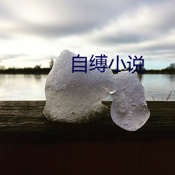 自縛小說