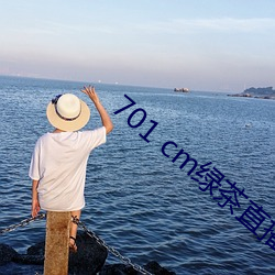 701 cm绿茶直播