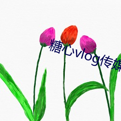 糖心vlog传媒视频在线观看下载 （猥亵）