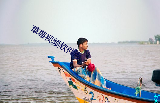 草莓(莓)视频软(軟)件污