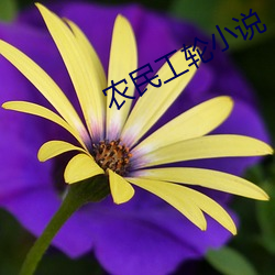 农民工轮小说
