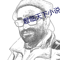 君臨天下小說
