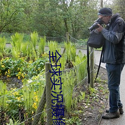 全球实况摄像头 （以刑去刑）