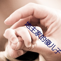 地主家的傻儿子