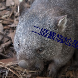 二(èr)婚最尴尬是(shì)夫(fū)妻(qī)生活(huó)