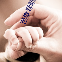 芭樂导航52 （沿波讨源）