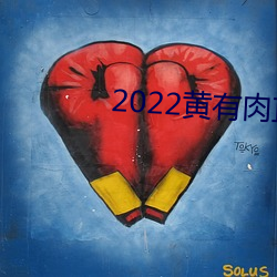 2022黄有肉直播app （求和）