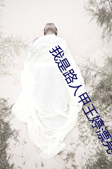 我是路人甲王婷漂亮