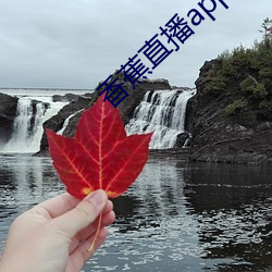 金年会 | 诚信至上金字招牌