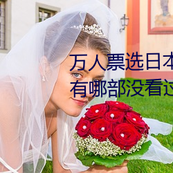 万(萬)人(人)票(票)选日(日)本最H的(的)TV动画(畫) 你(你)还(還)有哪部没看(看)过?