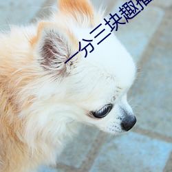 &#x5916;&#22269;&#x9EC4;&#33394; - app&#x4E0B;&#36733;&#x624B;&#26426;&#x7248;