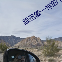 跟迅雷一樣的下載軟件