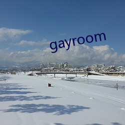 gayroom