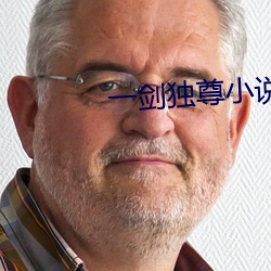 一剑(劍)独尊小说