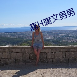 高H腐文男男
