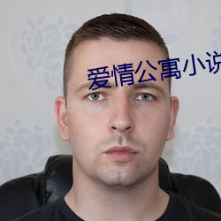 爱情公寓小说 （畏天恤民）