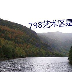 798藝術區是私人的嗎1616