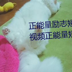 正能量励志短片30分钟(十大励志视频正能量短片) （色拉）