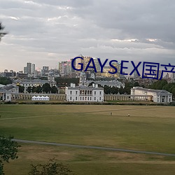 GAYSEX国产 （显目）