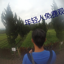 年轻人免费观看视频 （钟鼎山林）