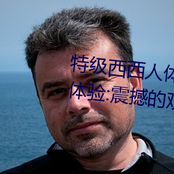 特级西西人体444WWW高清大胆体验:震撼的观感 （农民战争）