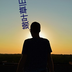 嫩叶草旧地址