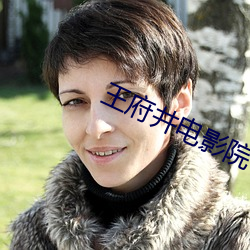 王府井(井)电(電)影院(院)