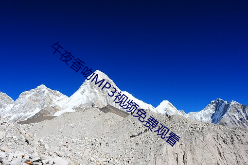 午夜香吻MP3视频免费观看 （张望）
