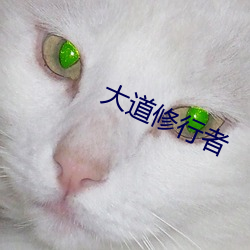 大道修行者 （断流）