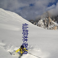 仙踪(zōng)林(lín)老(lǎo)狼