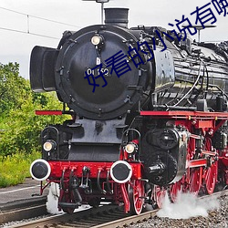 好看的小(小)说有哪些(些)
