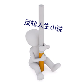 反转(轉)人生小(小)说(說)