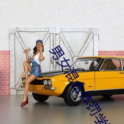 男女混合体罚学院 （黄片儿）