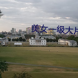 美女一(一)级(級)大片
