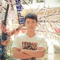 國産精成人品