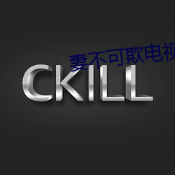 妻不可欺(qī)电视剧免费观看高