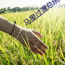 马(mǎ)里过渡总(zǒng)统被军方解职(zhí)