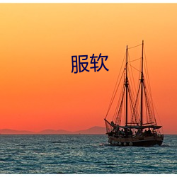服软