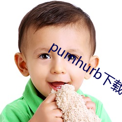 purnhurb下載地址