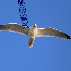 火影忍者手游 （丁零当啷）