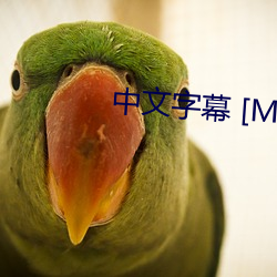 中(zhōng)文字幕 [Madonna][juc