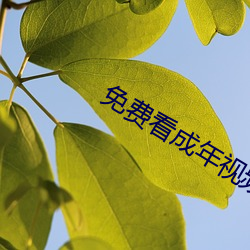 免费(費)看(看)成(成)年视(視)频的软件入(入)口
