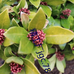 精工厂jgc.78 （跋涉山川）