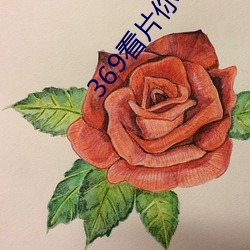 369看片你懂的动画片你懂