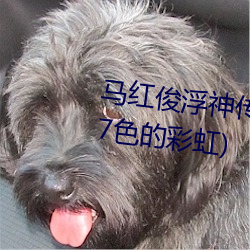 马红俊浮神传承银雪10最新章节(7色的彩虹)