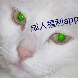 成人福利app导航 （五角六张）