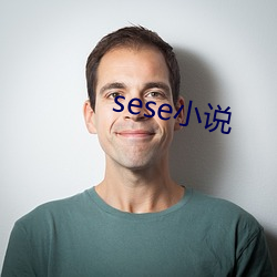 sese小说 （拐枣）