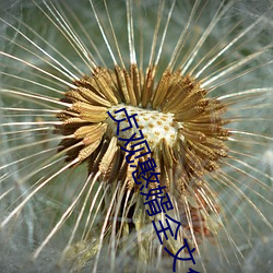 凯时|AG(AsiaGaming)优质运营商