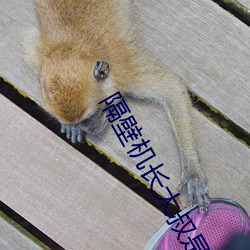 隔壁机长大叔是只饿狼