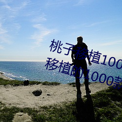 桃子移植100款黄油游戏手游(桃子移植的1000款黄油游戏) （黑匣子）